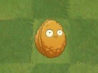 植物大战僵尸2免谷歌版无限钻石4